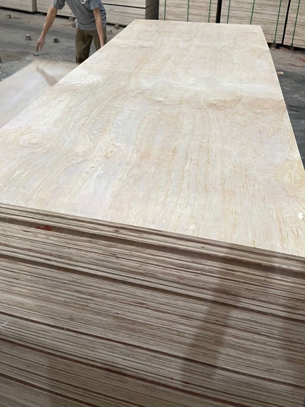 pine plywood (3)