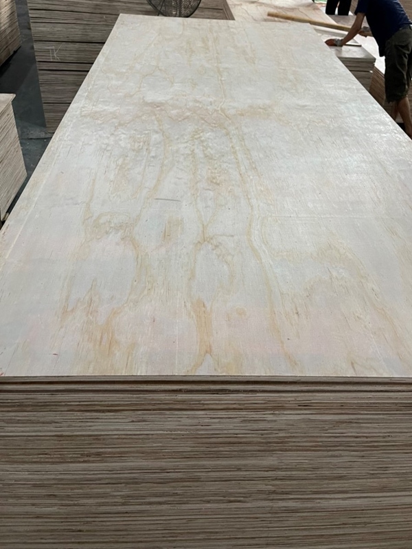 pine plywood (5)