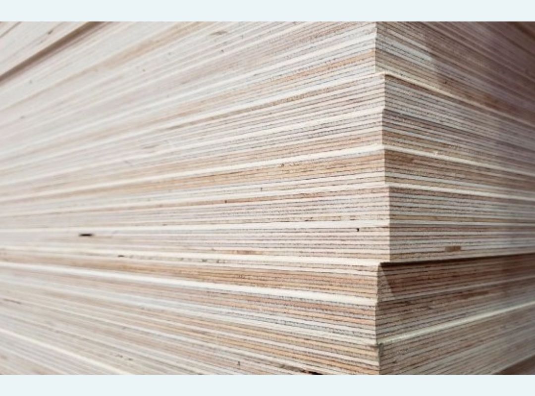 Standards and intended use