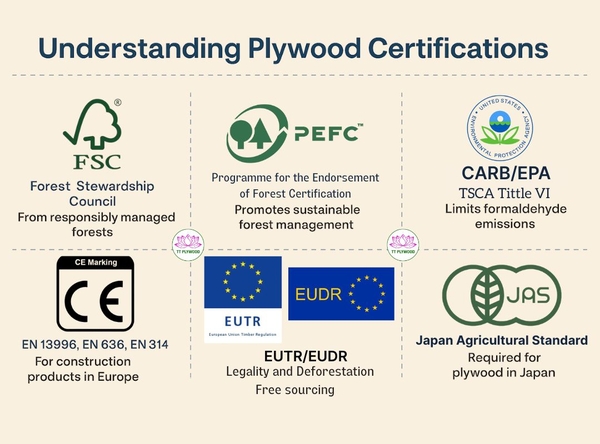 Key plywood certifications - FSC, PEFC, CARB/EPA, CE marking, EUTR/EUDR and JAS - help buyers verify compliance.