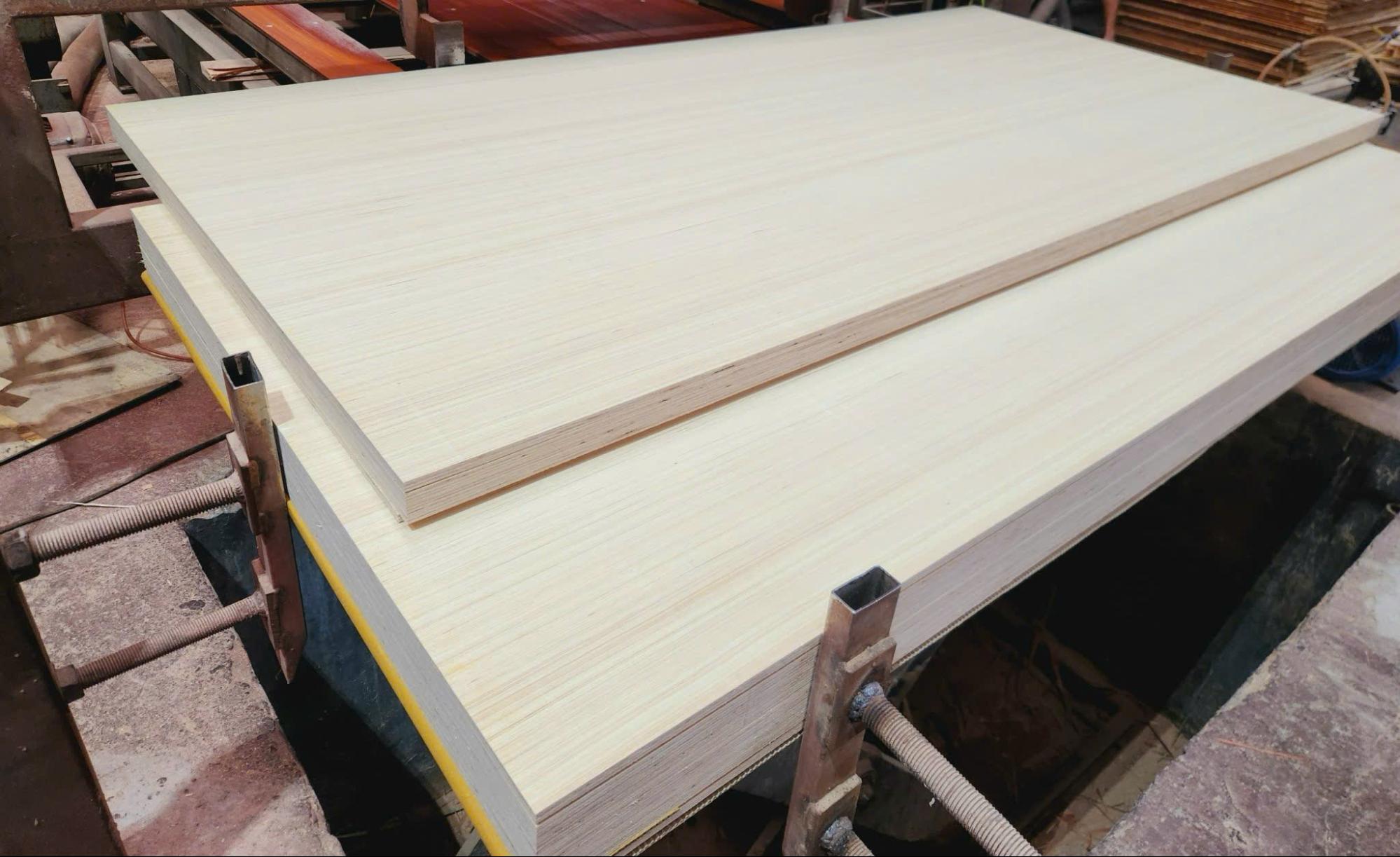 Kosmex produces calibrated plywood panels on modern lines, ready for CE certification and export