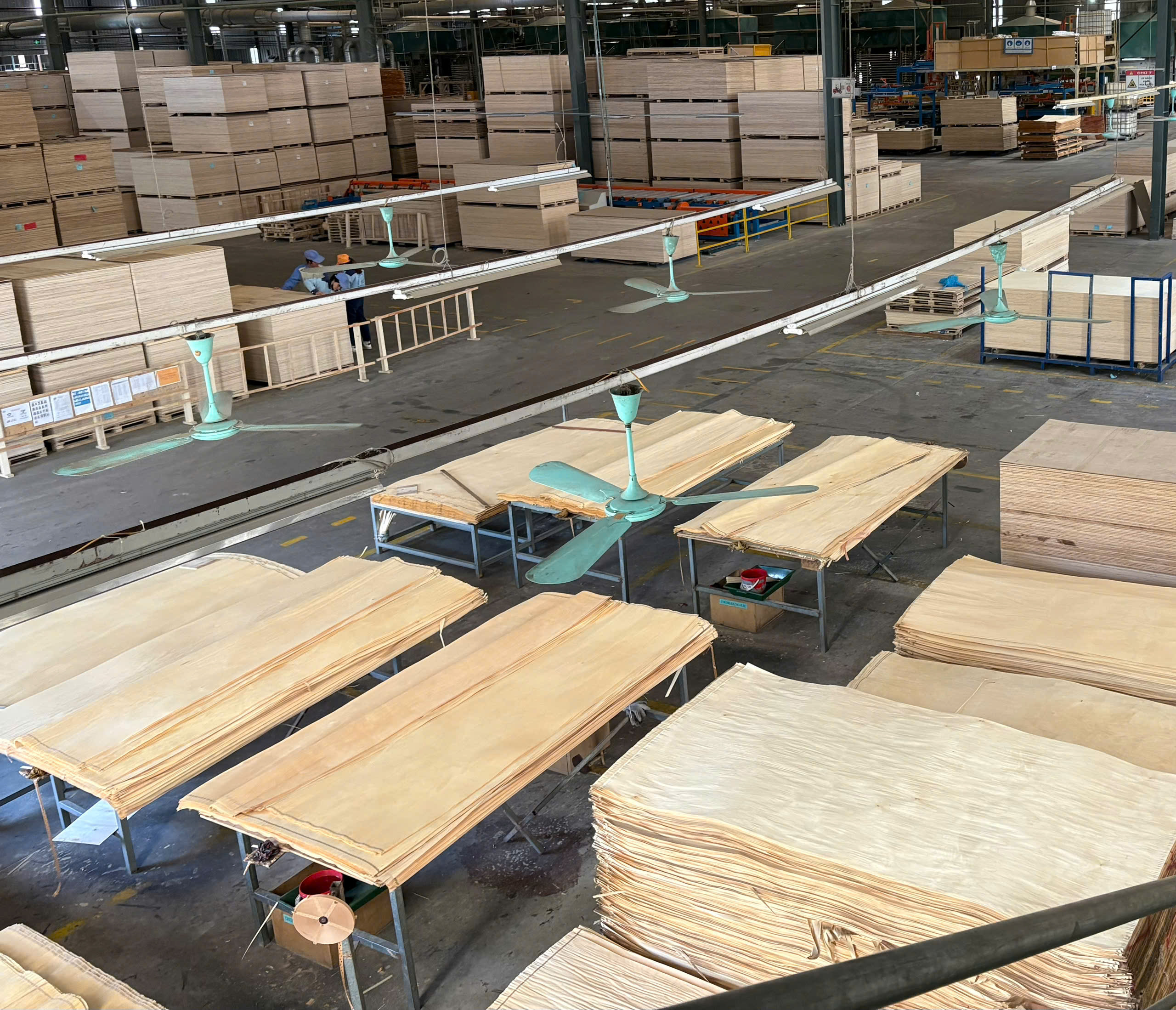 Kosmex offers free samples in requested thicknesses, container quotations for EU, US, Middle East and Southeast Asia markets