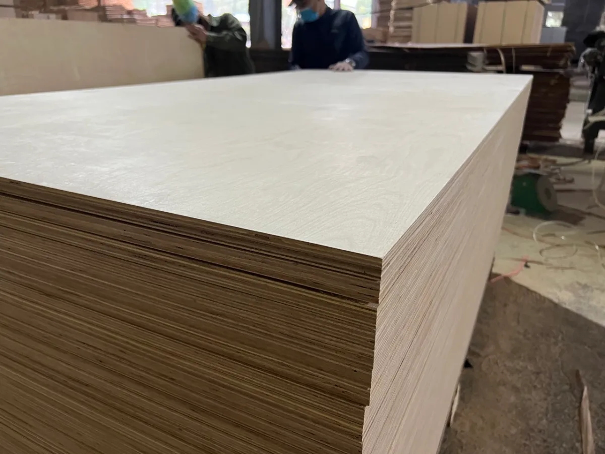 Germany: compliance-led buying (Germany = documentation speed)