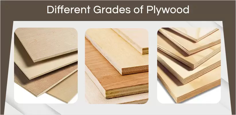 Plywood-grades-are-a-standardized-way-of-classifying-plywood