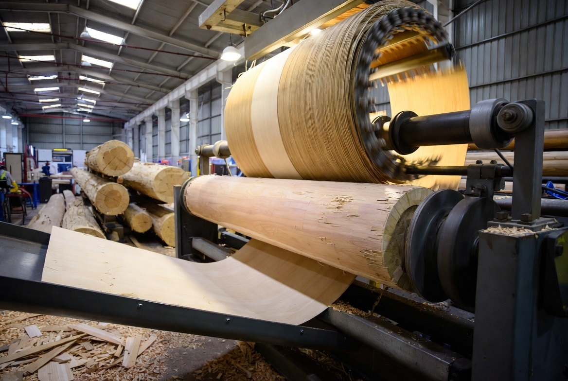 How-Is-Eucalyptus-Plywood-Made