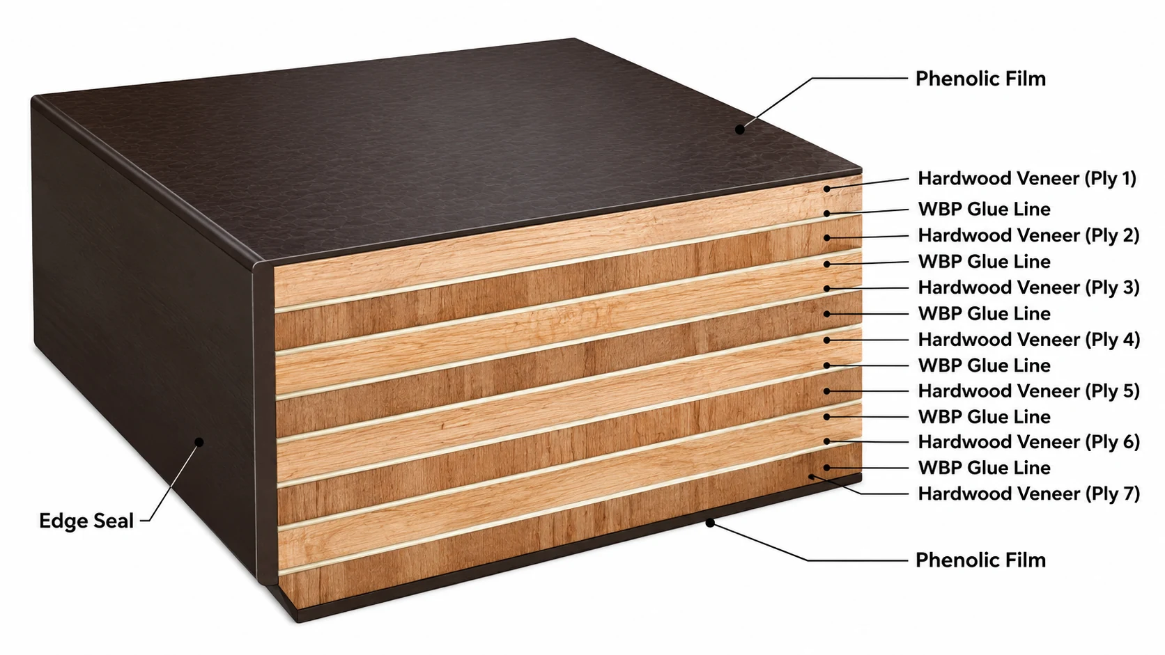 film-faced-plywood-cross-section
