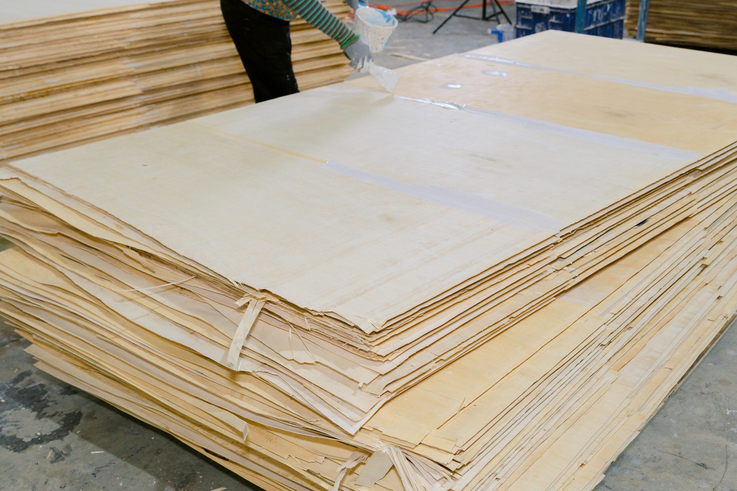 Cross-section of birch phenolic plywood showing tight multi-ply core construction at Kosmex factory