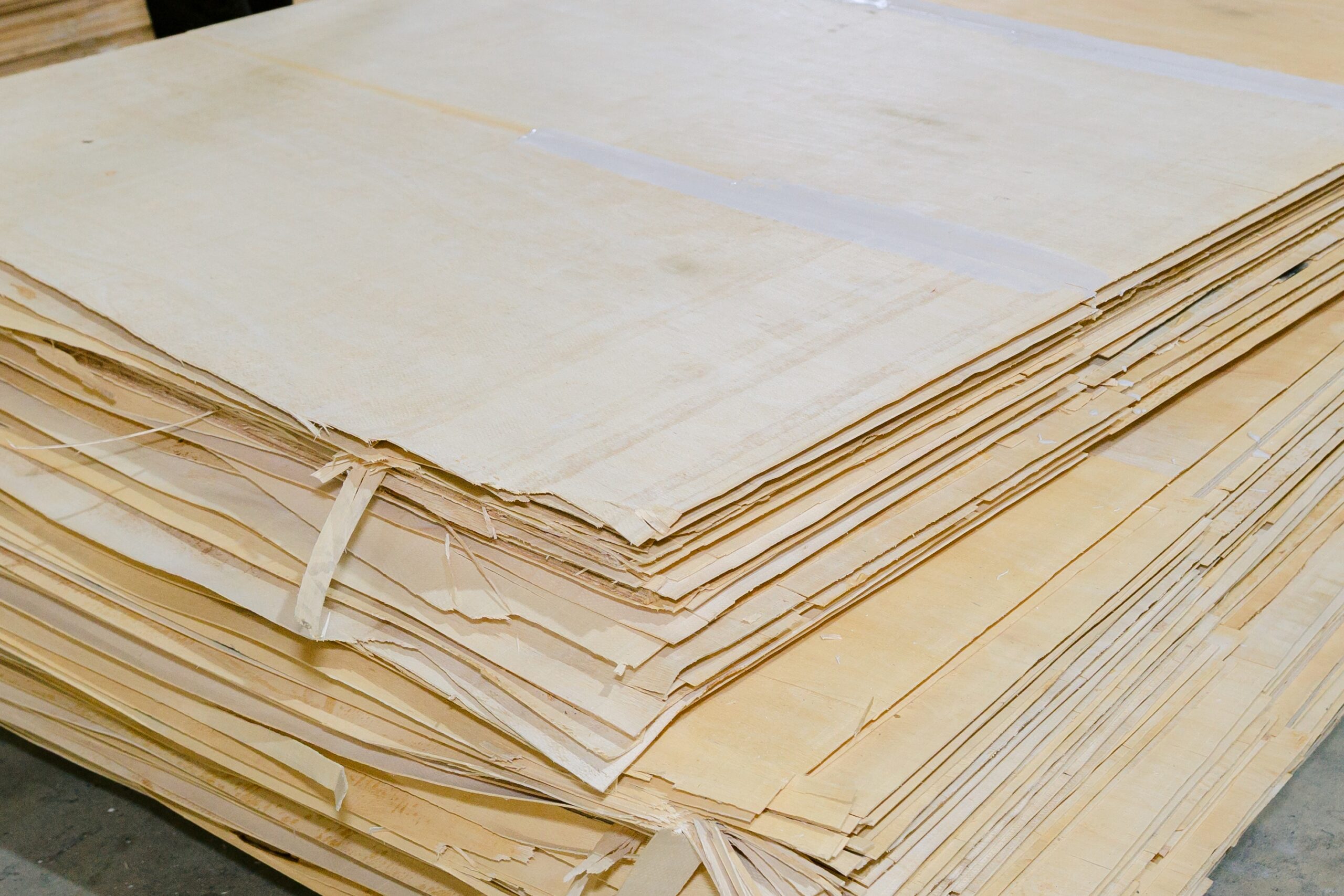Cross-section edge of birch plywood panel showing individual veneer layers — all-birch core construction at Kosmex Vietnam factory