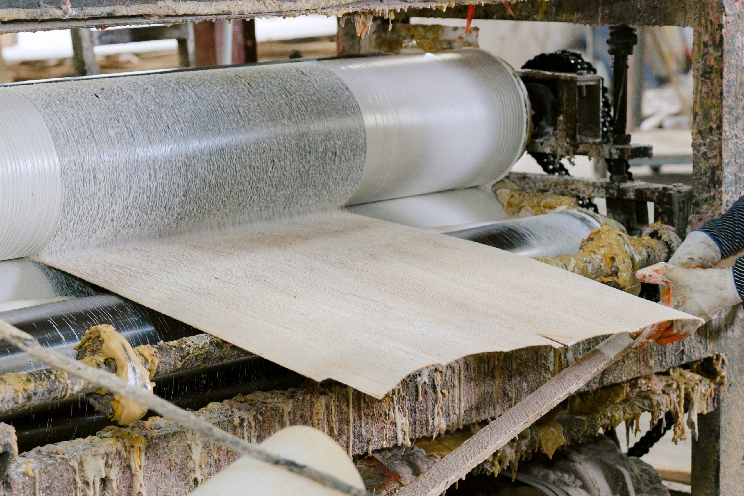 Glue spreader roller applying WBP phenolic adhesive to birch veneer sheets — EN 314-2 Class 3 moisture-resistant plywood production at Kosmex