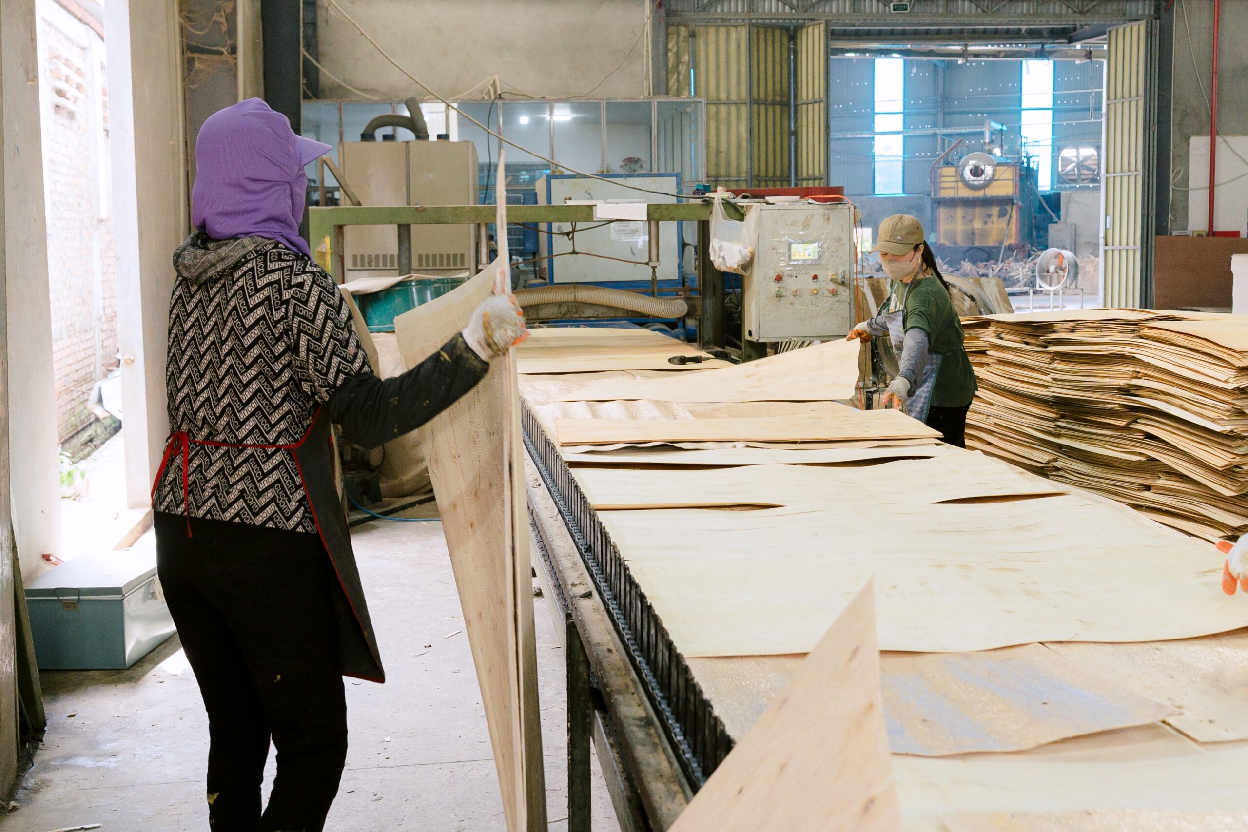 Cross-section edge of birch plywood panel showing individual veneer layers — all-birch core construction at Kosmex Vietnam factory