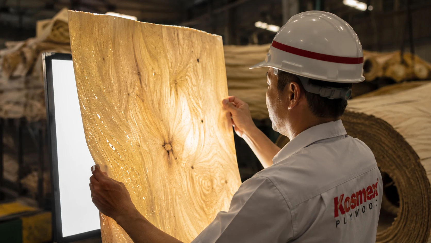 birch-veneer-void-inspection 