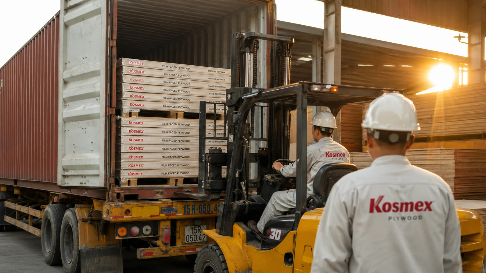Kosmex plywood loading into 40-foot container for export to EU and US buyers