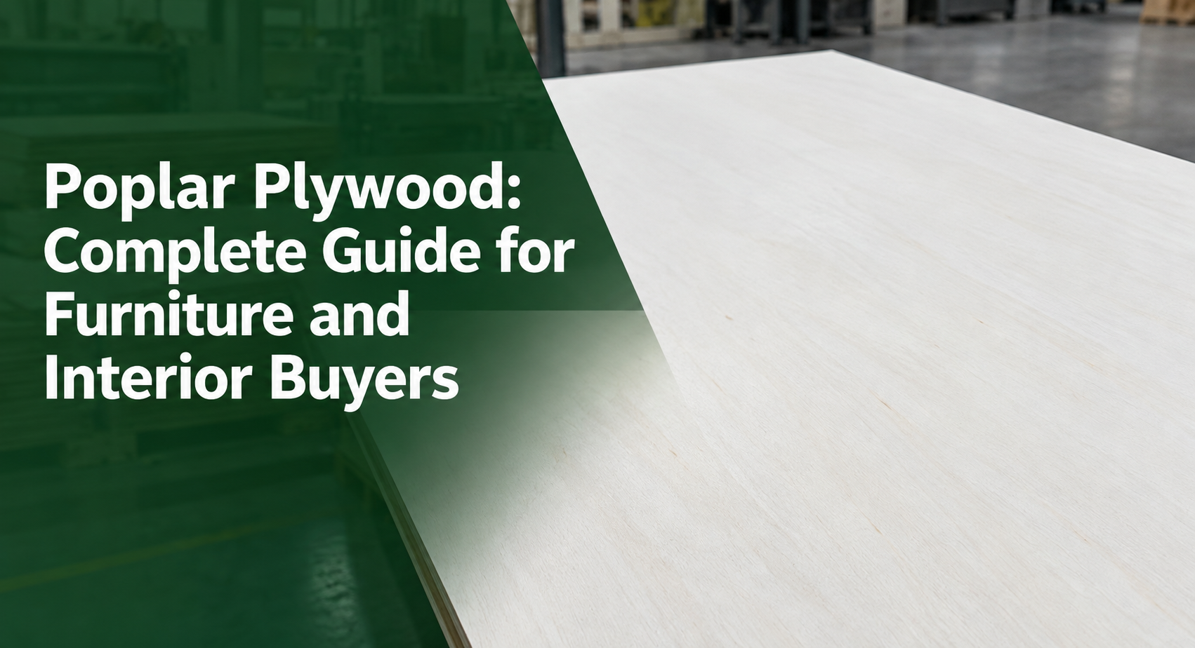 poplar plywood guide.png